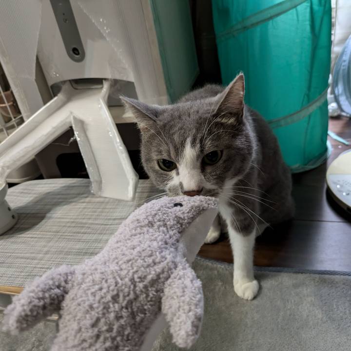 924a7fd1 18fa 45bd aa98 cfb105ad430a 1727600889807