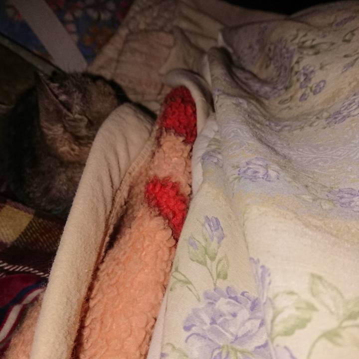 924a95c0 ecf0 4dff 9e80 55e1224d7e23 1576873759046