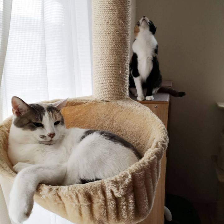 924a9ed1 9604 452b 9372 ba823d394bcb 1609034879703