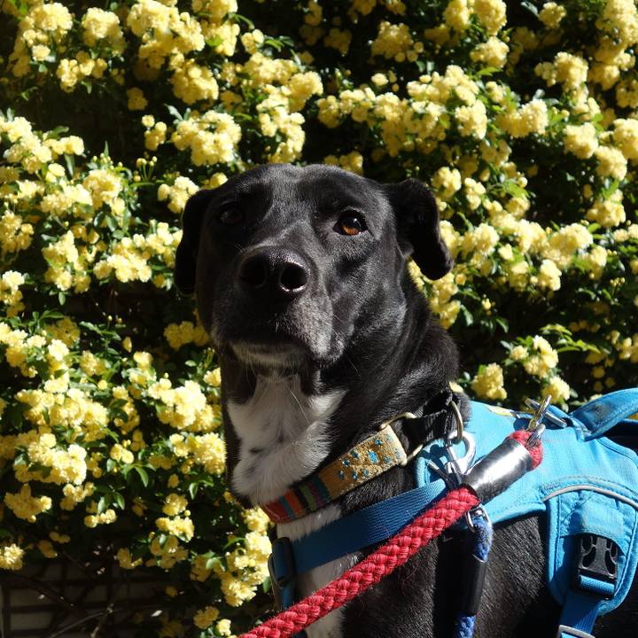 924ac415 e6e2 42c0 990d 8613dc731ef7 1618016019496