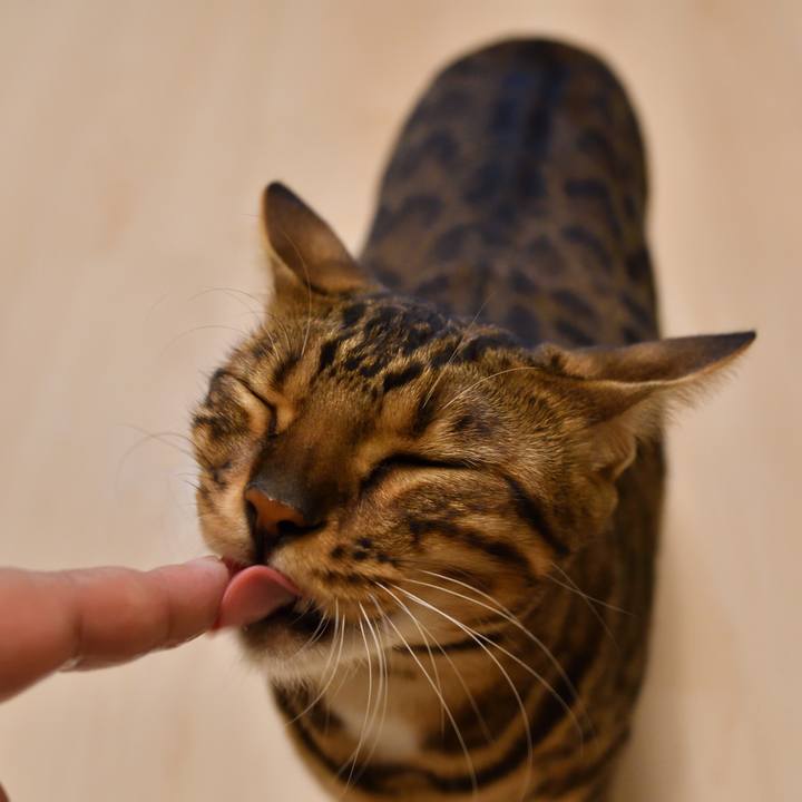 924b0ced b501 4db9 93f5 db559c3354ea 1511436317952