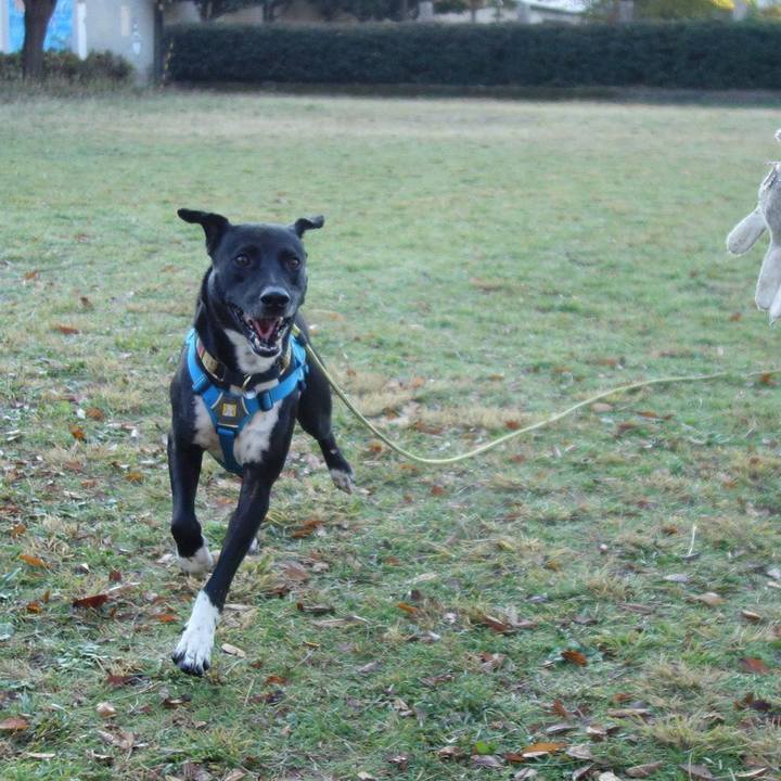 924b1e2f 4993 45b7 8453 4b0f699ddb82 1606782708139