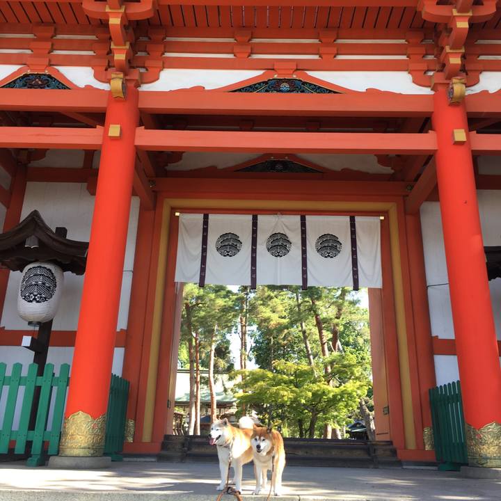 924b88c1 2e27 46d1 b4c4 d2ecbec96a2e 1526952155803