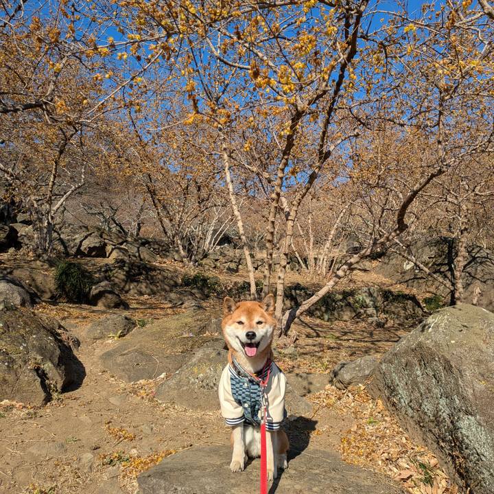 924b8c05 1c6b 46f9 8d57 ee202a664c26 1740659656698