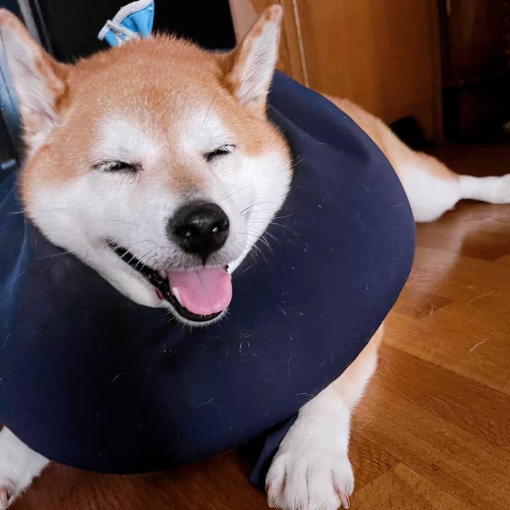 924ba7ef d8c1 4832 93d3 97a1563891f3 1693624029807