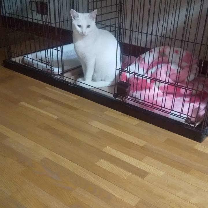 924bbe2a 7fa3 40db 83c1 3f31a0ac6c69 1706278557884