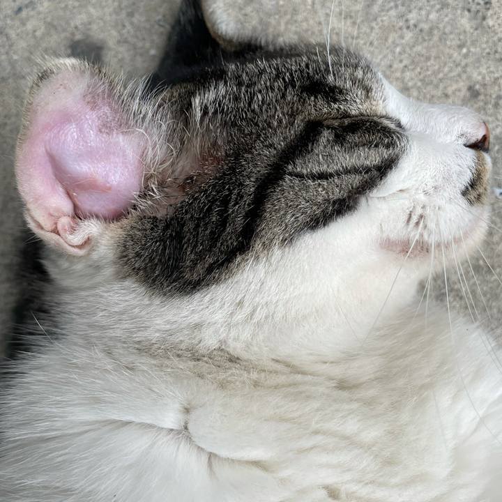 924beccd 49e6 43ae 88d8 fccff23fd532 1625020785931