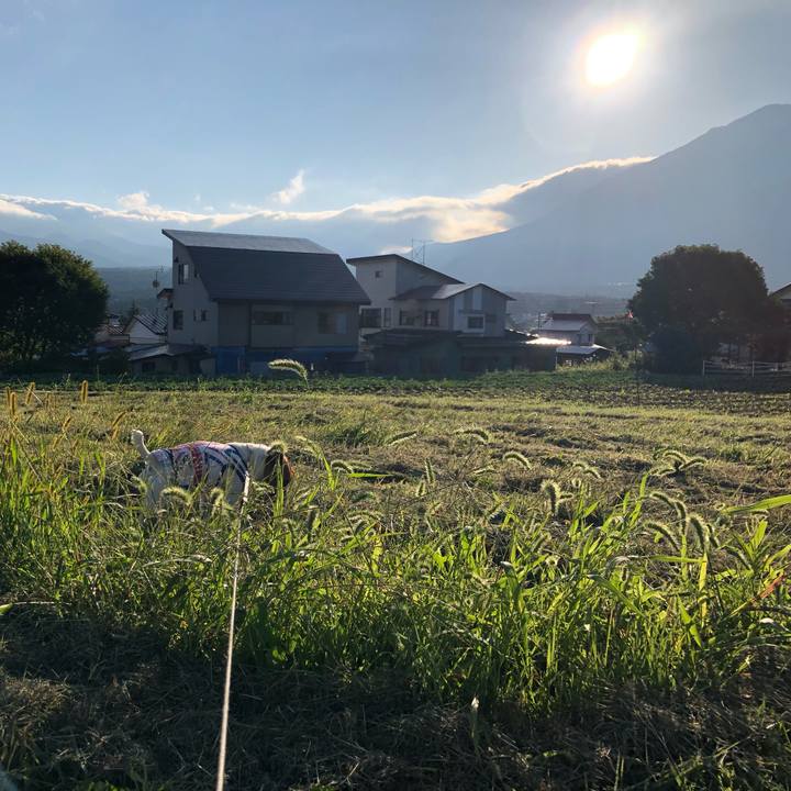 924c1d99 e2d4 4c5b aa76 a2c42e05575b 1568371161469