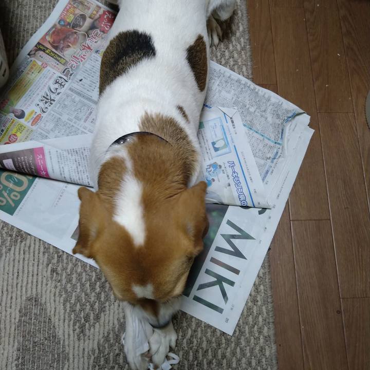 924c2350 6bf2 485d 92f1 63fb2b88352f 1624631931672