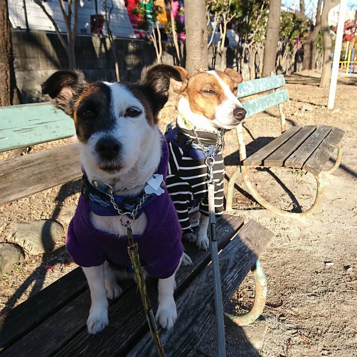 924c2fb1 ea6f 4c4a ab7c 21a6c4065538 1608160307004