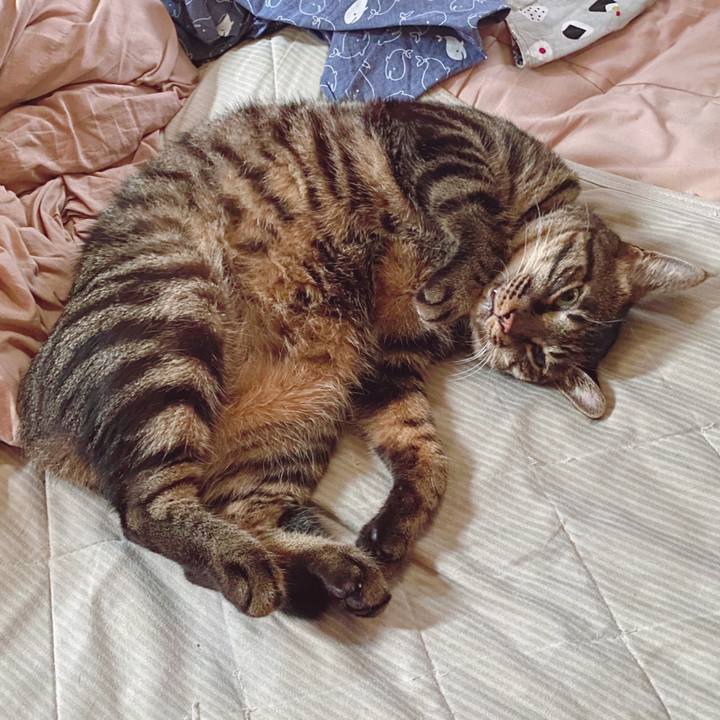 924c4d0c ac8c 4077 b60a 01a589048960 1592804183003