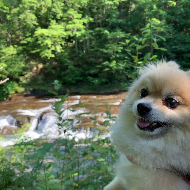 924ca8dc 1526 4290 b0bc 27b0da4bcd8f 1626658189158