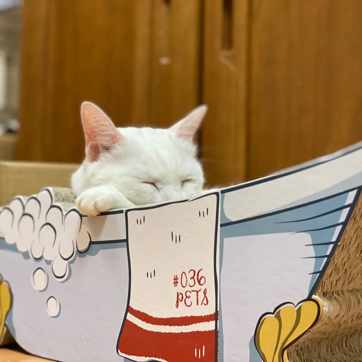 924cbb8d 5dd2 4cfb b618 dee369b20735 1598924929135