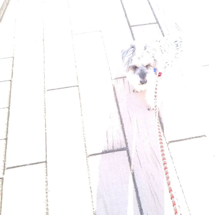 924cd5ea cfa7 47b7 8f02 ec109b21574c 1667084648576