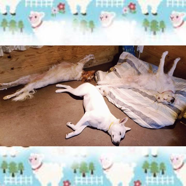 924ce354 b32a 4a6a ab62 57995c9b1cc0 1574346677416