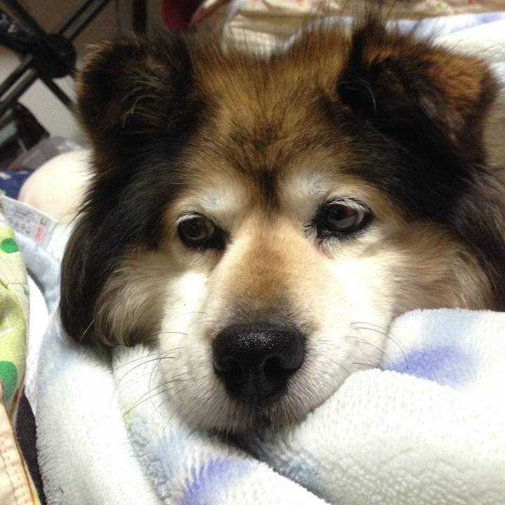 924d59a7 2498 4c46 9a38 def5aee052fb 1589867842838