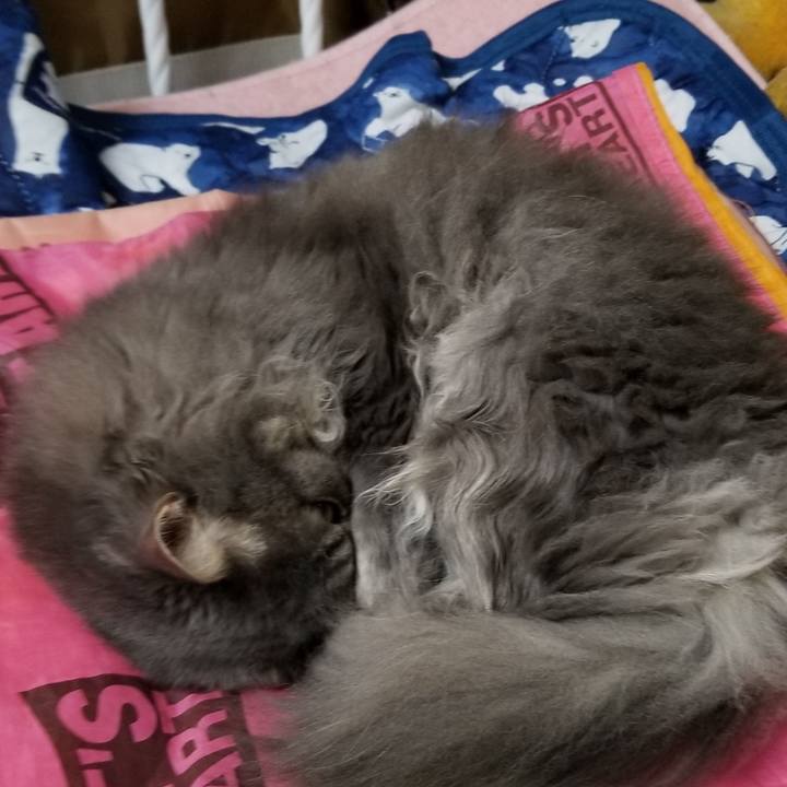 924d7928 b70c 4c67 be60 0cb5664ab9ad 1571481621511