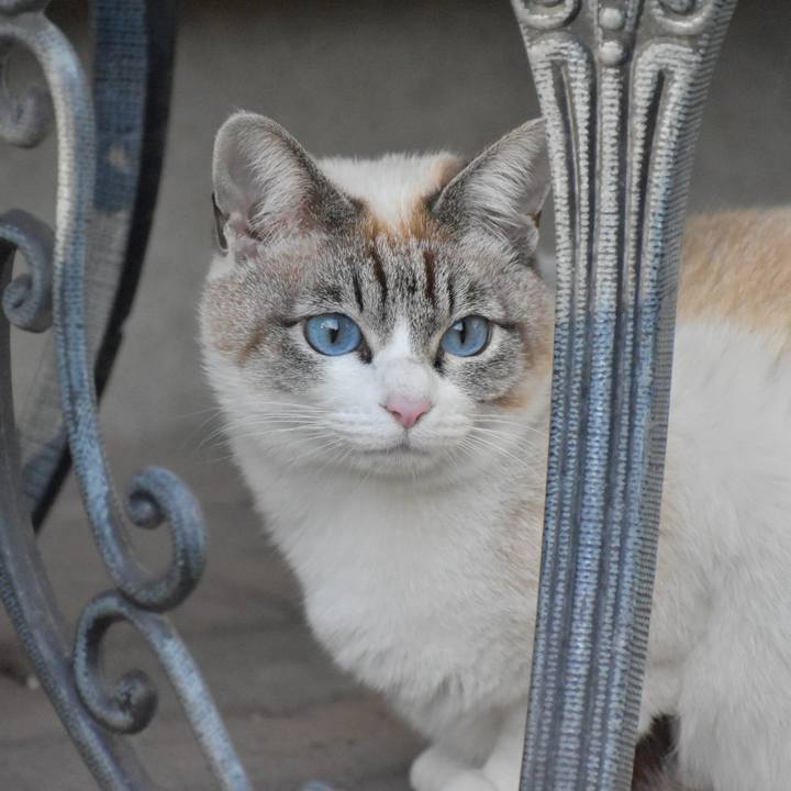 924dafe7 c031 4d50 9317 db7ddd2f2639 1523179062848