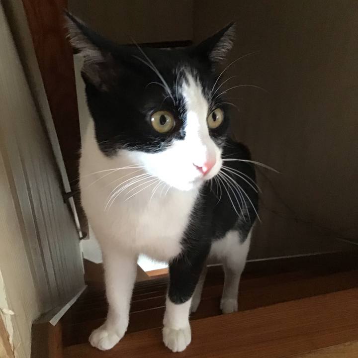 924db082 bfc2 4c0f 9f44 d90b4bbb0f24 1658410199636