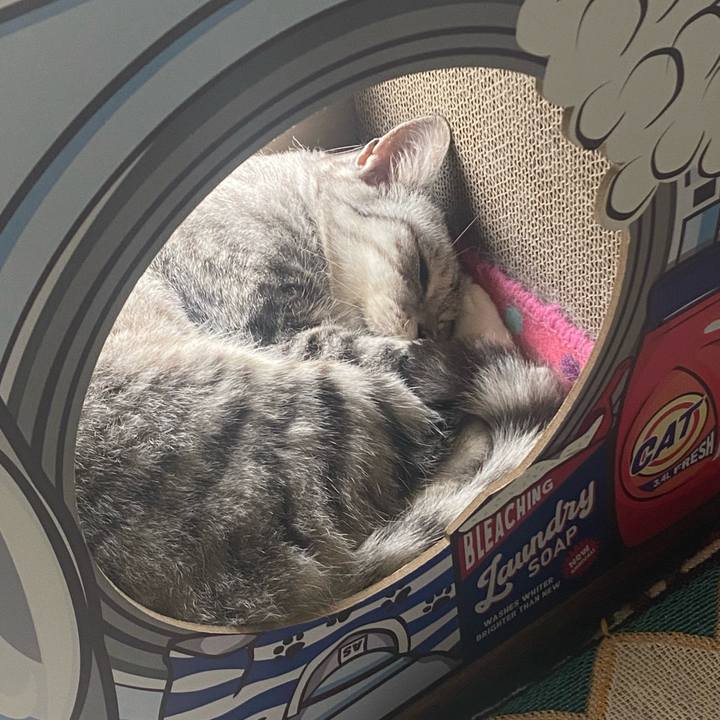 924dc3ed 1126 4fd0 8275 ba8a2b64b937 1721016311973