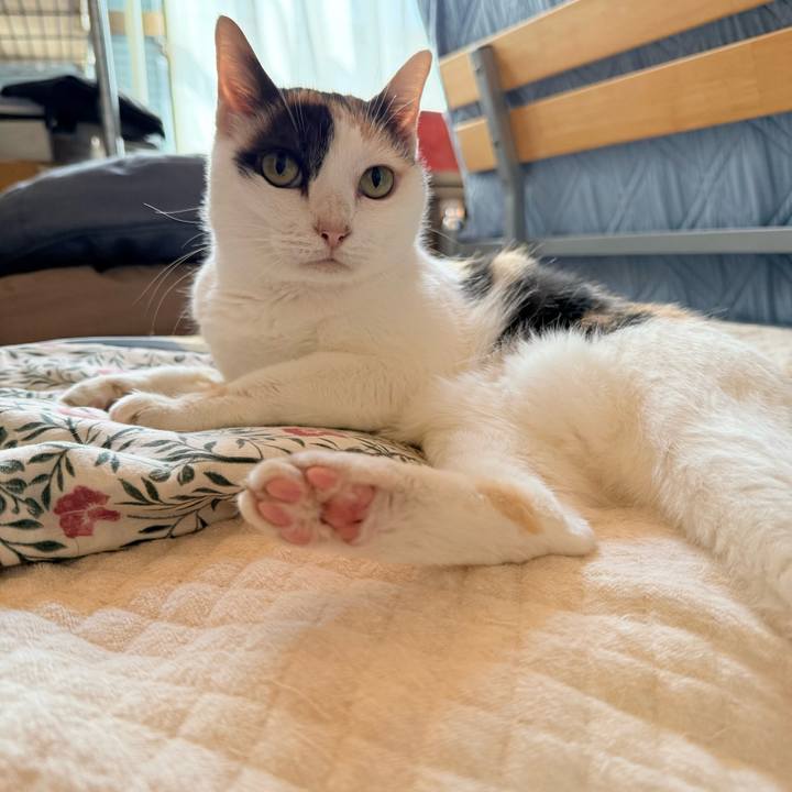 924dc63d 1cad 4136 b4f8 fb3df28a33a2 1760059521578