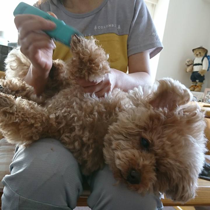 924e0658 48f2 41bf 9901 a39c05d4a1dd 1543120711583