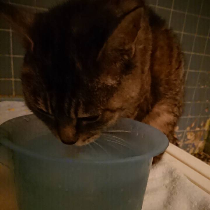 924e2460 00cf 4de1 8c26 6da2bfcf732f 1569147253365