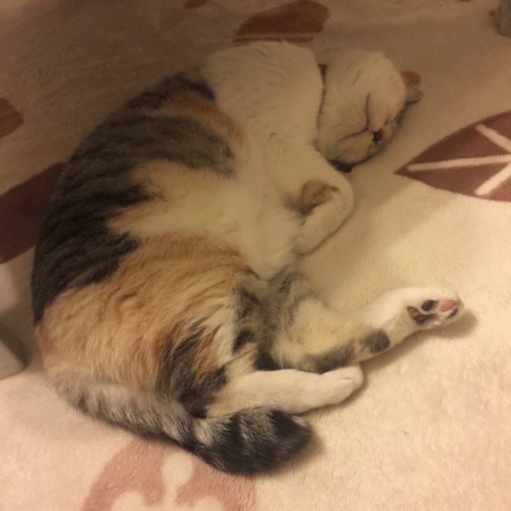 924e24d5 f728 4305 885d ccd078ad4552 1556118841470