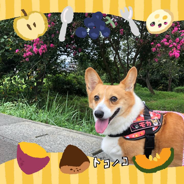 924e33ec 79a9 4066 8640 4404b5a3fad1 1727359396051