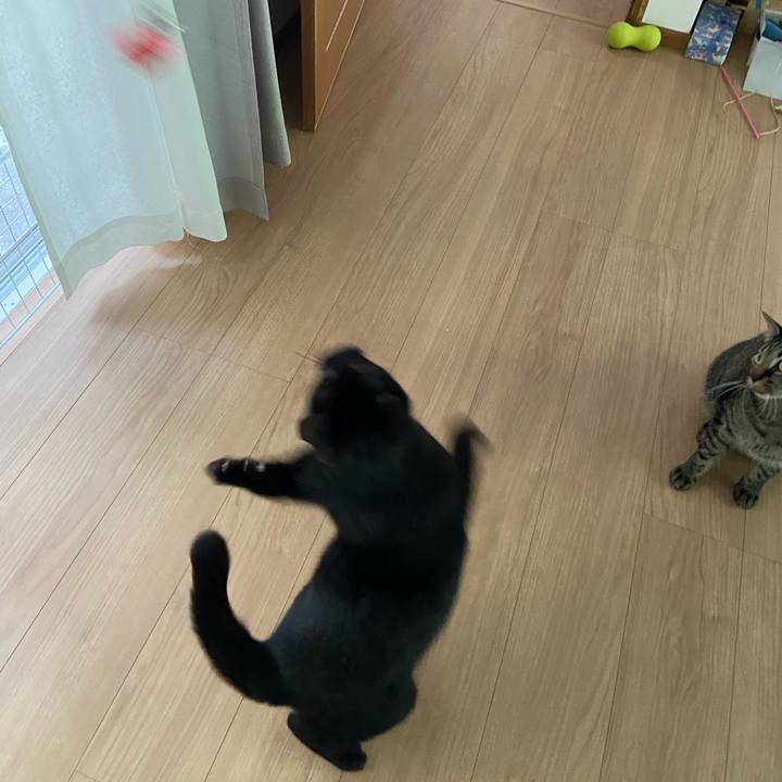 924e84ec 4634 40e8 9f3c 27cfbe5a0116 1653226175175