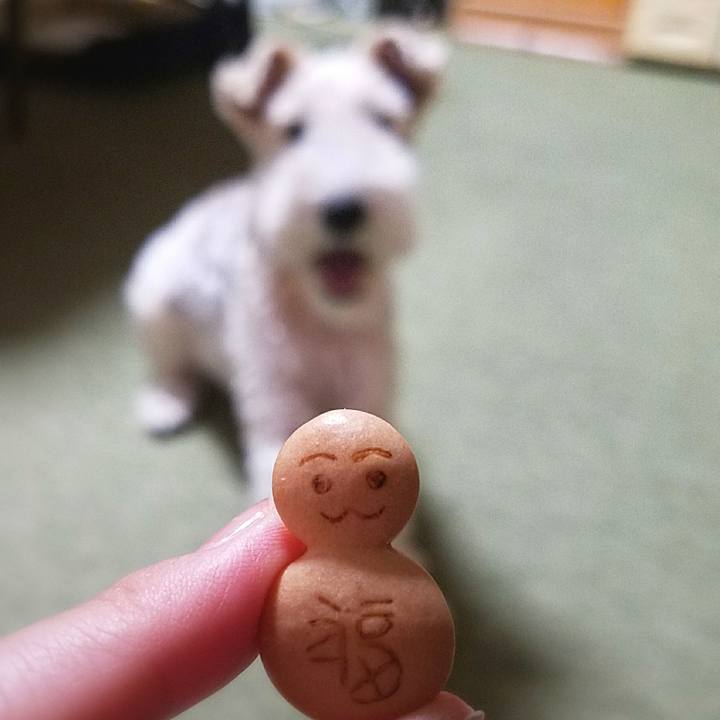 924e8fcd b0d6 4099 8d3e 698308e436f8 1510064017047