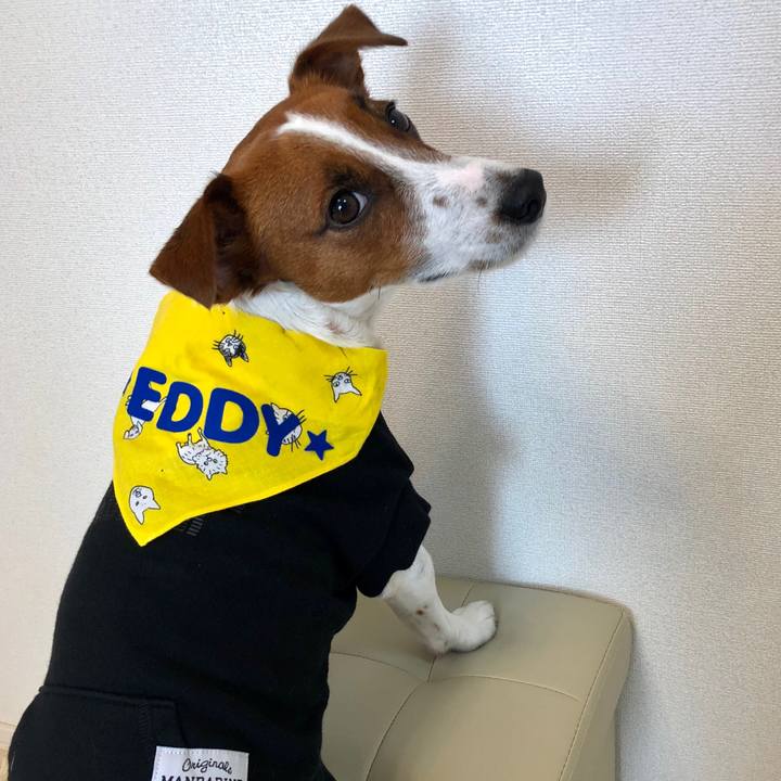 924ee68c 9f93 4867 aa55 c9b8037253e6 1573337790237