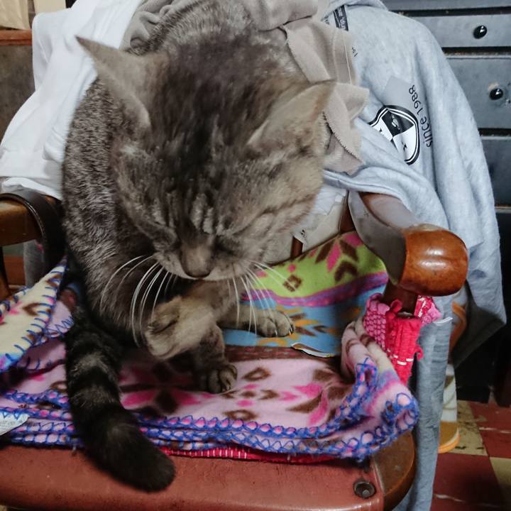 924eea60 d806 4900 ae02 9ce707654be2 1555213027789