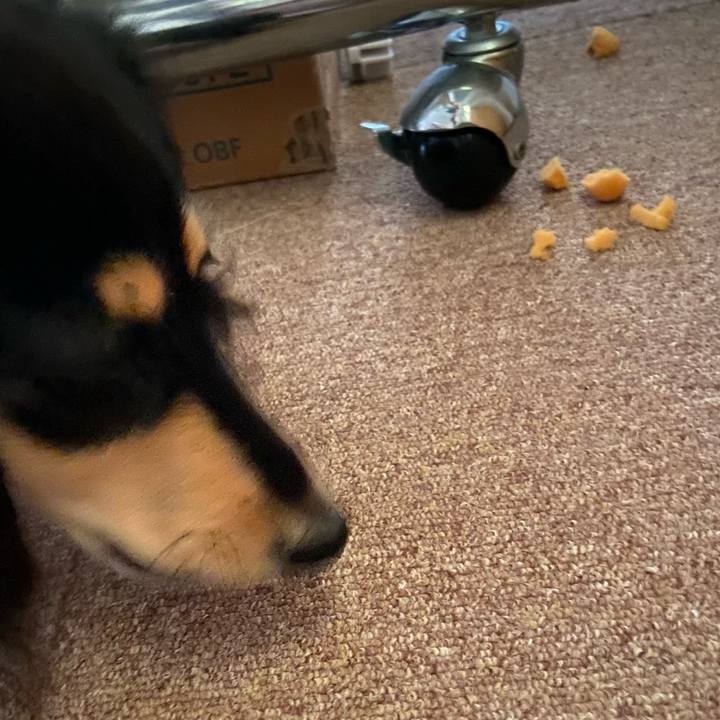 924f02aa 7338 4de2 aa42 7fb1053a4610 1677572221214