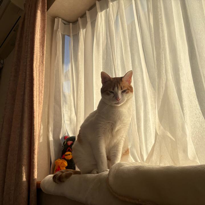 924f051d a6bb 4a04 9ca9 07644a241c02 1769731116737