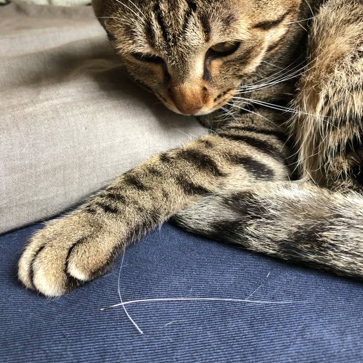 924f0ff6 22eb 46c2 8e03 413f01f2b17c 1524452644208