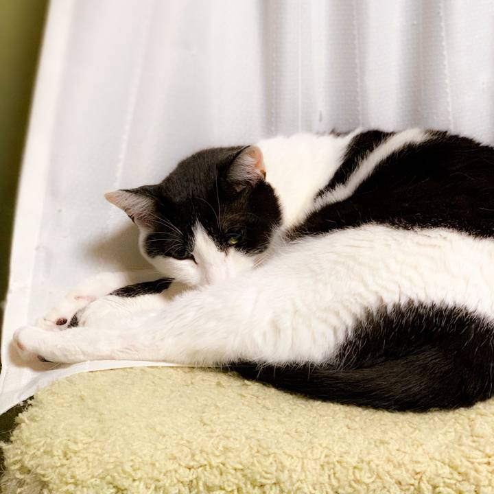 924f2ea3 5921 4a37 af4b 16c634e96819 1562550200759