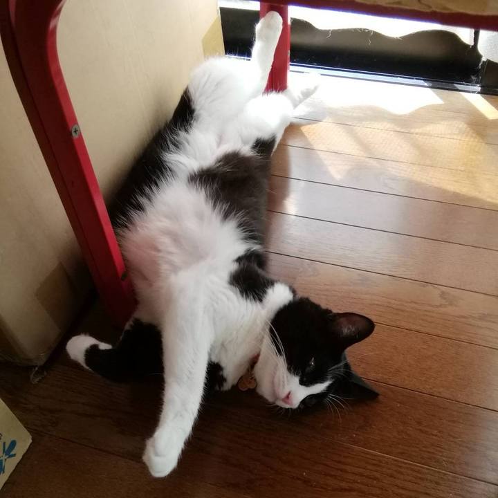 924f54f0 206b 4698 80c9 7e41bef1ee29 1567779511317