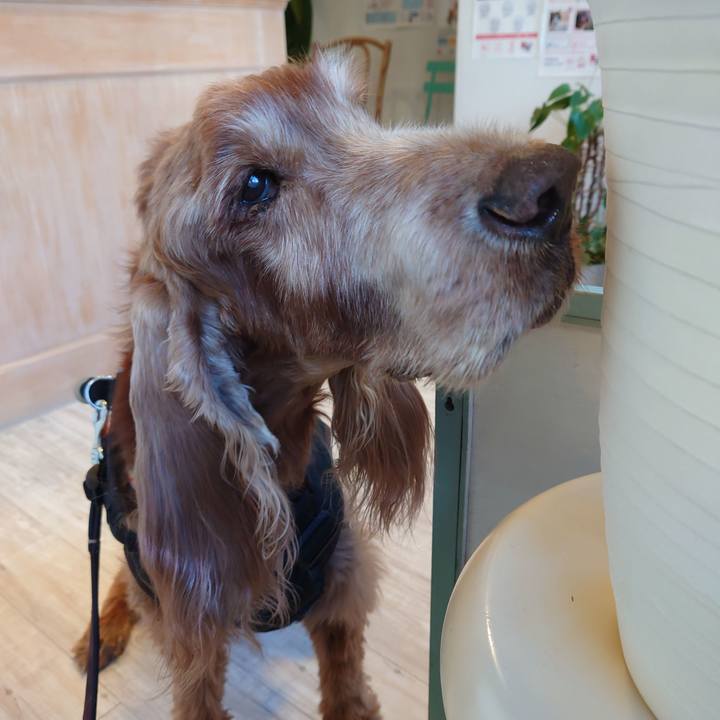 924f602d 3255 41e2 9447 a849768811a6 1739614389221