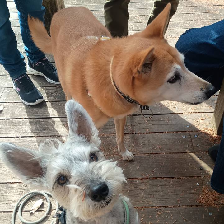 924f74a2 f087 425f 9555 756dc280de96 1765288061180