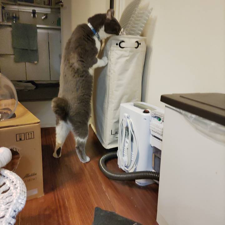 924f8687 9dba 4361 8348 aee2dd2dc20a 1676898667950