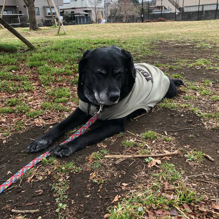 924fc31f 94b7 462f afa5 624097b5fded 1614648351221