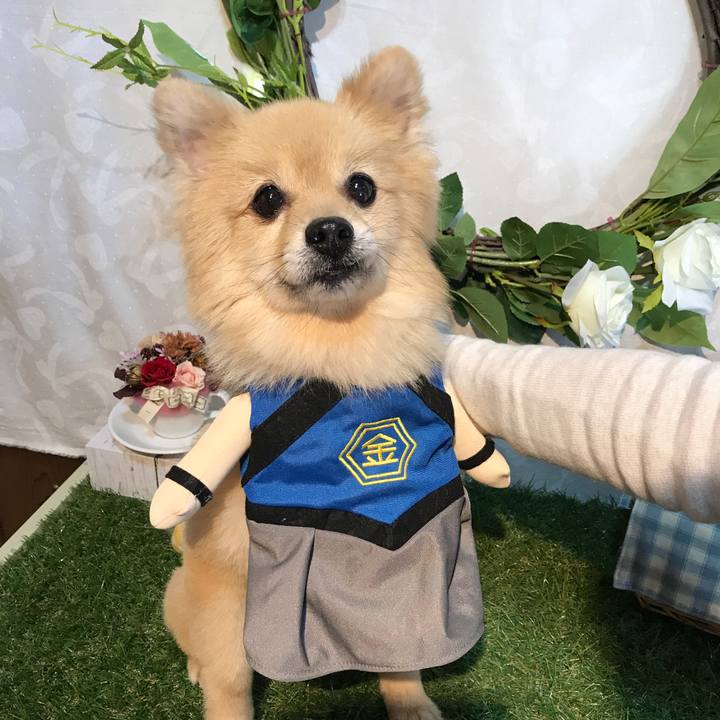 924fd337 9110 488b 9589 d13a731c2779 1565592443958