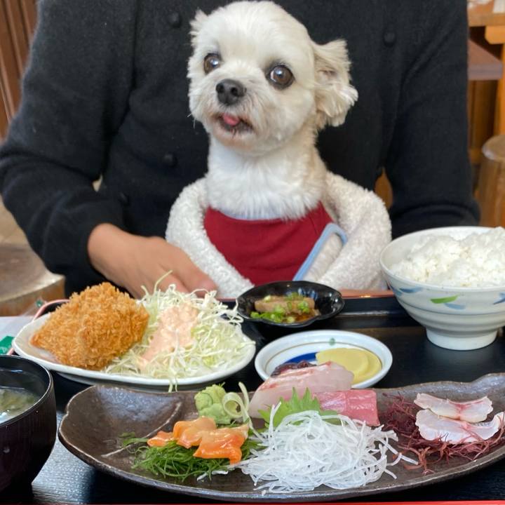 924fed47 5022 42f8 8abf 4b9ffc71502f 1670158535120