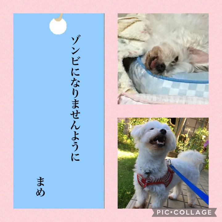 924ff561 0d39 4f07 8376 90cf563bba1e 1625659852037