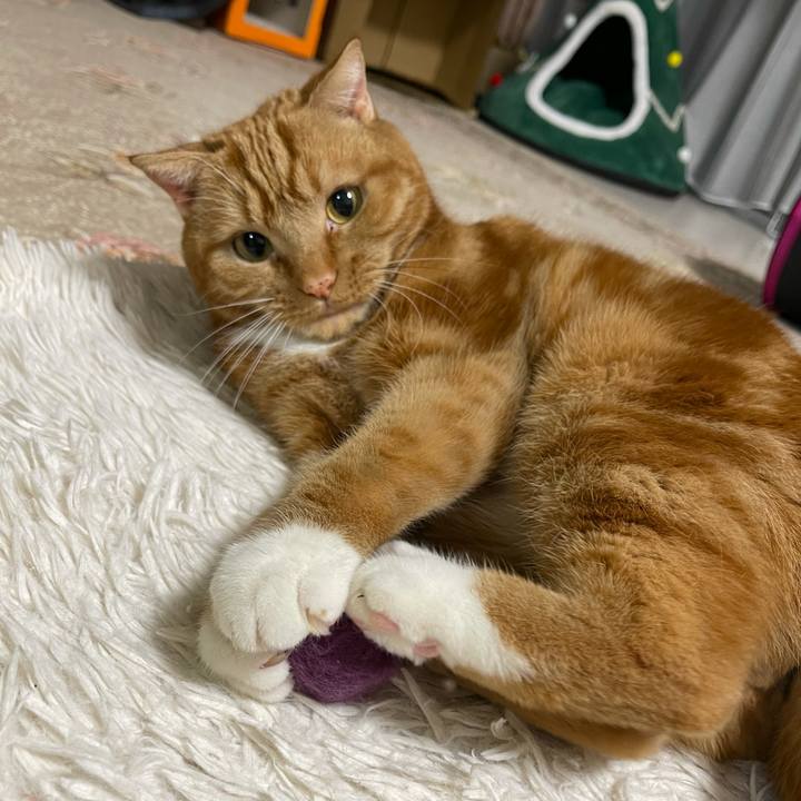 92503020 7fc5 451b aca2 9958b5f8e8a3 1610030489766