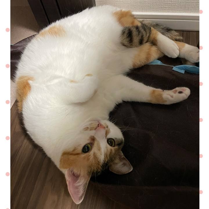 9250c55b da1a 42ae 8be2 2efe387b18c7 1624110707395