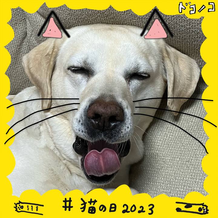 92510a55 971e 4da4 b101 ee1f7b773bf6 1677029325327