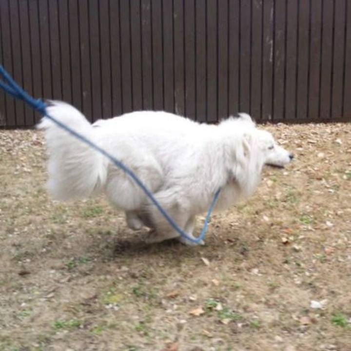 9251125a 900e 4d43 b949 51a3a5afc936 1678006881610