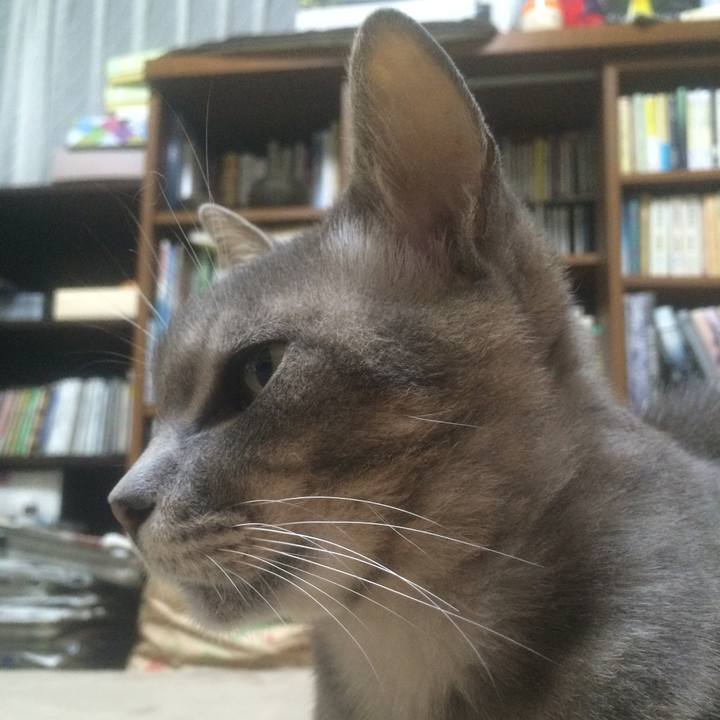 92516289 d401 4264 8261 46f0b39e1eaa 1529593069345